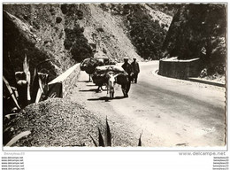 CPA (Réf :L180)  112 -BLIDA  (AFRIQUE - ALGÉRIE) Gorges De La Chiffa (animée, Ane) - Blida