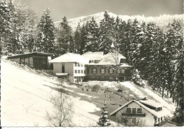 REAL PHOTOGRAPHIC POSTCARD - PARKPENSION HERRIHOF 1050m - TODTNAUBERG/HOCHSCHWARZWALD - BADEN WURTTEMBURG - GERMANY - Todtnau