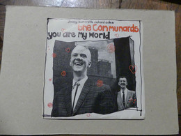 The Communards You Are My World Jimmy Sommerville Richard Coles 8860007 - 45 T - Maxi-Single