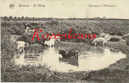 Drinkplaats Voor Het Vee Bestiaux à L'Abreuvoir - Westende Au Village - Westende