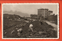 ZNG-23 Alpage Des Rochers De Naye Troupeau De Vaches .Circulé   Perrochet 633 - Roche