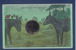 CPA Système Miroir Relief Circulé Ane Donkey - Dreh- Und Zugkarten