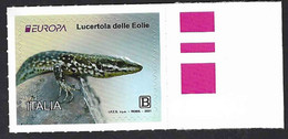 Italia, Italy, Italien, Italie 2021; Lucertola Delle Eolie, Lizard Of The Aeolian Islands. - Andere