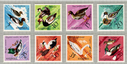 Albania 1975, Bird, Birds, Swan, Set Of 8v, MNH** - Cygnes