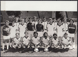Footbal  NOUVELLE ZELANDE  La COUPE DU MONDE 1982  " L'equipe Qualifiée " Photo Originale  A.F.P. Dim  240X180 - Sport