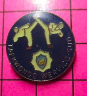 813b Pin's Pins / Beau Et Rare / THEME : SPORTS / JUDO KARATE TAEKWONDO WERVICQ CLUB - Judo