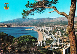 España -  BENIDORM - Vista Panoramica - Alicante