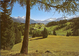 1079571  Lenzerheide, Blick Auf Sporz-Davains Mit Bergünerstöcken - Bergün/Bravuogn