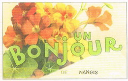 77 UN BONJOUR   DE  NANGIS   CPM  TBE   269 - Nangis