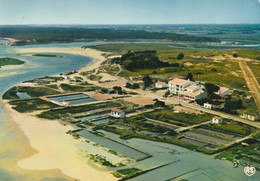 Talmont St-hilaire Port De La Guittière - Talmont Saint Hilaire