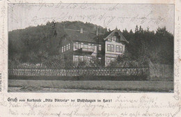 AK Wolfshagen Im Harz - Kurhaus Villa Viktoria - Nach Salder - 1904 (59148) - Langelsheim