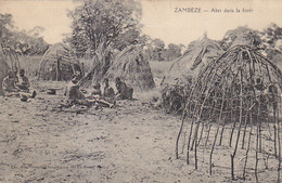 (o) Zambèze - Abri Dans La Fôret - Namibie