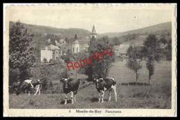 Moulin-du-Ruy.  Panorama Du Village Et...belles Vaches! - Stoumont