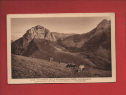 CPA - Environs De La Roche Sur Foron -(Hte-Savoie) - Montagne De Coux - Pâturage - Autres & Non Classés
