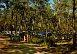 SAINT-HILAIRE DE RIEZ    ( VENDEE )   CAMPING " LES BICHES "   . VUE DU CAMP - Saint Hilaire De Riez