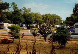 SAINT-HILAIRE DE RIEZ    ( VENDEE )   CAMPING " LES BICHES " - Saint Hilaire De Riez