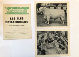 Documentation Pédagogique - Ecole - Géographie  - Les Iles Britanniques - La Vie économique Et Sociale - Février 1953 - Fichas Didácticas