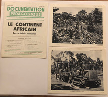 Documentation Pédagogique - Ecole - Géographie - Le Continent Africain - Les Activités Humaines - Novembre 1953 - Fiches Didactiques