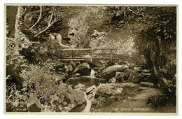 Ref 1511 - Early Postcard - The Gorge & Bridge - Rothbury Norhumberland - Sonstige & Ohne Zuordnung
