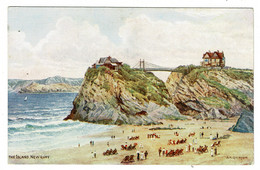 Ref 1512 - J. Salmon ARQ A.R.Q. Quinton Postcard - The Island Newquay  - Cornwall - Newquay