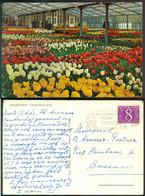 Nederland 1963 Ansichtkaart Keukenhof Lisse Met Speciaal Stempel "Wordt Lid Van De Hollandsche Molen" - Lisse