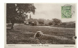 Annan From  The  Holm - Dumfriesshire