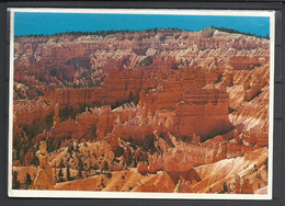 United  States, Bryce Canyon National Park, Sunset Point, 1983. - Bryce Canyon