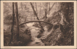 Passerelle, Château De Garengo, Céligny, C.1920 - SADAG CPA - Céligny