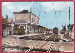 CPSM 91 RIS ORANGIS  La Gare *   Format CPM ( Train - Ris Orangis