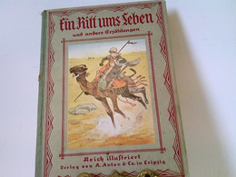 Ein Ritt Ums Leben. Eine Geschichte Von Der Wasserkante Und Anderes. Erzählungen Für Die Jugend. - Short Fiction