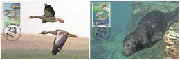 Greenland 2021 - Europa 2021 - Endangered National Wildlife Carte Maximum Set - Cartoline Maximum