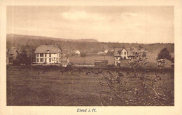 Elend I.Harz - Panorama Blanc - Oberharz