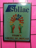 411e Pin's Pins / Beau Et Rare / THEME : MEDICAL / SOLLAC FRANCE GREFFE DE MOELLE - Médical