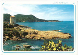 2006 €0,60 ASSEMBLEA COSTITUENTE CARTOLINA ISOLA DEL GIGLIO - Grosseto