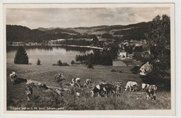 Titisee, Schwarzwald - Hochschwarzwald