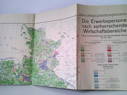 Die Erwerbspersonen Nach Vorherrschenden Wirtschaftsbereichen. Volks- Und Berufszählung In Der Bundesrepublik - Allemagne (général)