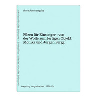 Filzen Für Einsteiger : Von Der Wolle Zum Fertigen Objekt. - Otros & Sin Clasificación