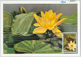 63431 -  BELGIUM - POSTAL HISTORY: MAXIMUM CARD 1970 -  FLOWERS - 1961-1970