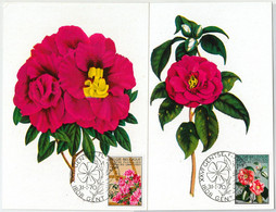63430 -  BELGIUM - POSTAL HISTORY: Set Of 2 MAXIMUM CARD 1970 -  FLOWERS - 1961-1970