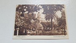 ANTIQUE POSTCARD PORTUGAL CURIA - FORMOSA VISÃO DO CASINO UNCIRCULATED - Aveiro