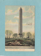 NEW  YORK   -  THE  OBELISK . CENTRAL  PARK  -  1909  - - Central Park