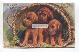 Bloodhound Puppies, Dogs - "Any Port In A Storm" - 1932 Used Postcard - Chiens