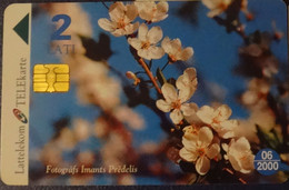Latvia , Lettland , Lettonia  - Spring Flowers Apple Blossoms Used Phonecard Chip Ture N -2 - Latvia