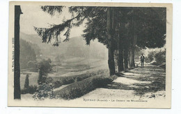 France Rothau Alsace Le Chemin De Wildersbach Unused - Rothau