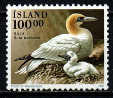 Islande YT 692 Neuf Sans Charnière XX MNH Oiseau Bird - Unused Stamps