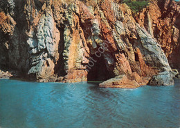 Cartolina Isola Del Giglio Grotta Della Galera 1984 (Grosseto) - Grosseto