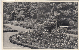 A6799) SANGERHAUSEN - Rosarium - Gel. Wallhausen 1933 - Sangerhausen