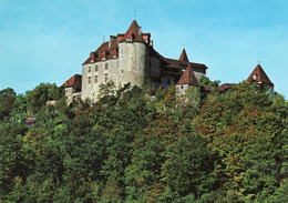 SUISSE,SWITZERLAND,SWISS,HELVETIA,SCHWEIZ,SVIZZERA ,FRIBOURG,GRUYERES,LE CHATEAU - Fribourg