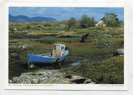 AK 028888 IRELAND - Connemara - Bei Glinsk - Galway
