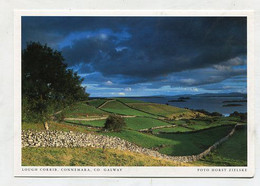 AK 028894 IRELAND - Connemara - Lough Corrib - Galway